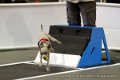 IMG_9390