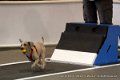 IMG_9391