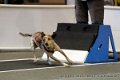 IMG_9399
