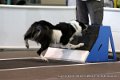 IMG_9432