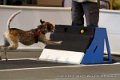 IMG_9438