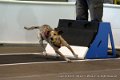 IMG_9441