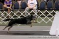IMG_9697