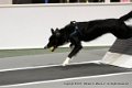 IMG_9755