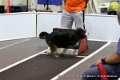 IMG_9757