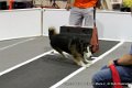 IMG_9758