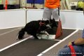 IMG_9761