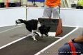 IMG_9762