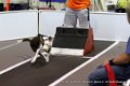 IMG_9769