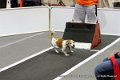 IMG_9771