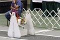 IMG_9827