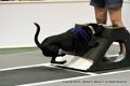 IMG_0002