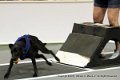 IMG_0004