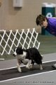 IMG_0033