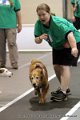 IMG_0049