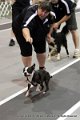 IMG_9875