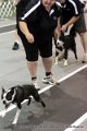IMG_9876