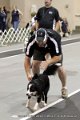 IMG_9878