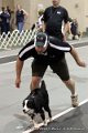 IMG_9879