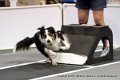 IMG_9994