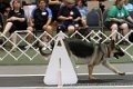 IMG_0111
