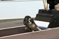 IMG_0127
