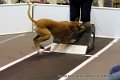 IMG_0141