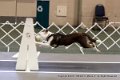 IMG_0175