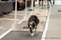IMG_0462