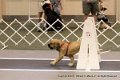 IMG_0481