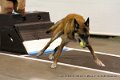 IMG_0491