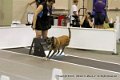 IMG_0605
