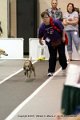 IMG_0628