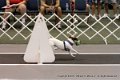 IMG_0649