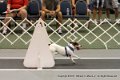 IMG_0653