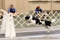 IMG_0733