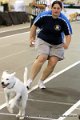 IMG_0796