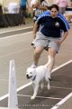 IMG_0801