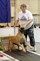 IMG_0805