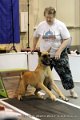 IMG_0806