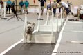 IMG_0813