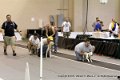 IMG_0825