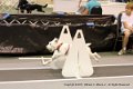 IMG_0826