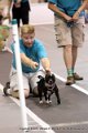 IMG_0847