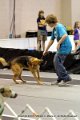 IMG_0852