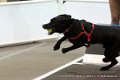 IMG_0884