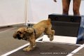IMG_0888