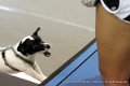 IMG_0925