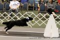 IMG_0983