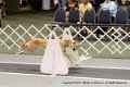 IMG_1002